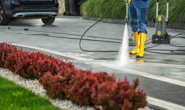 Best Roof Washing  in Sleepy Hollow, CA
